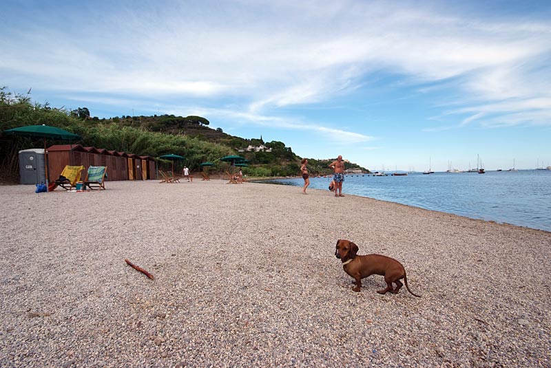 Spiaggia per cani all'Elba